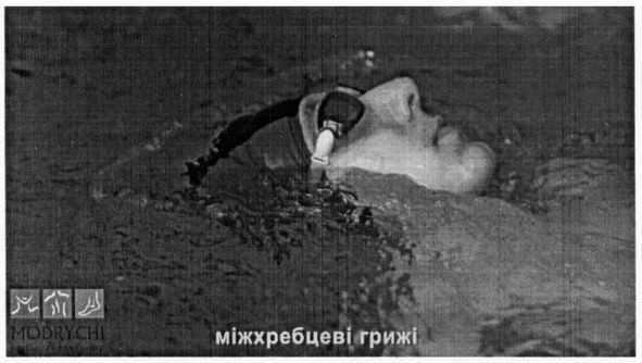 www.modrychi.com.ua
