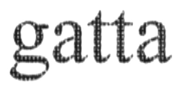 gatta
