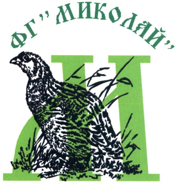 фг миколай