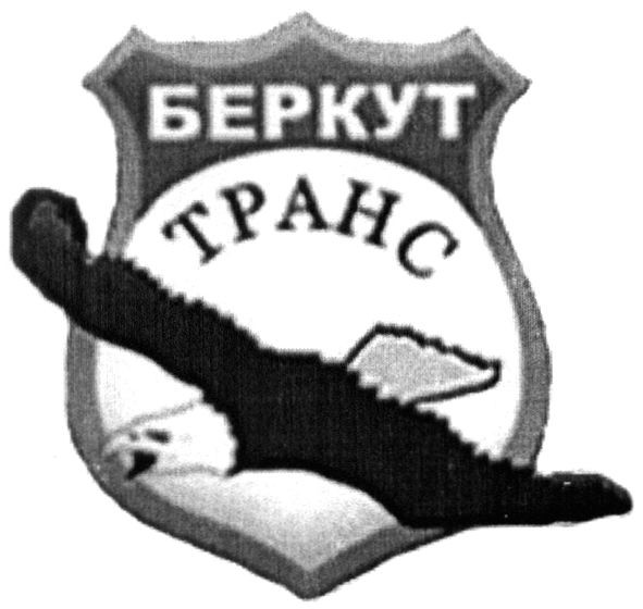 беркут транс