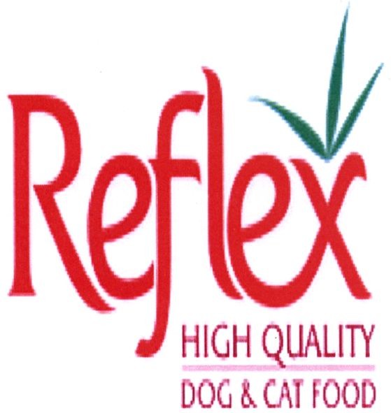dog & cat food