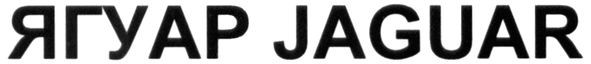 ягуар jaguar