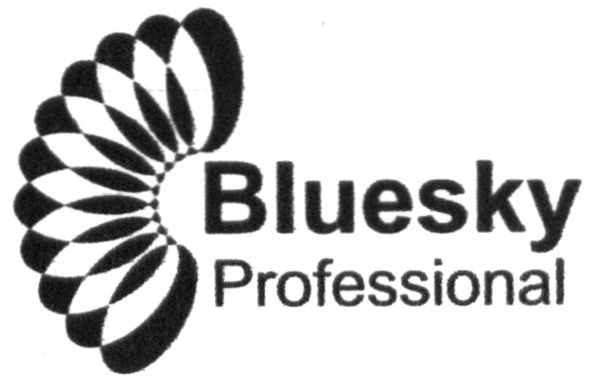 bluesky professional
