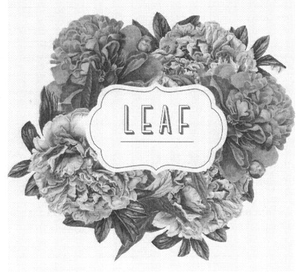 leaf