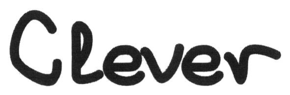 clever