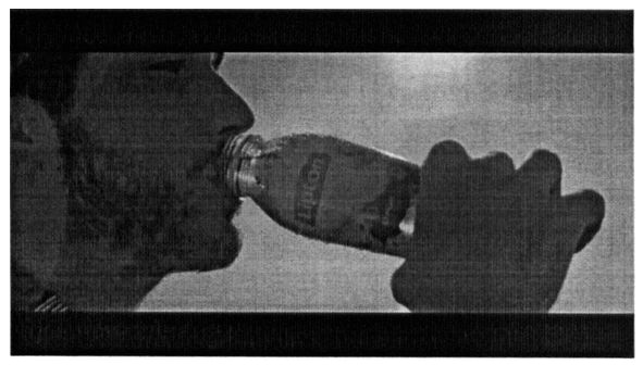 lipton