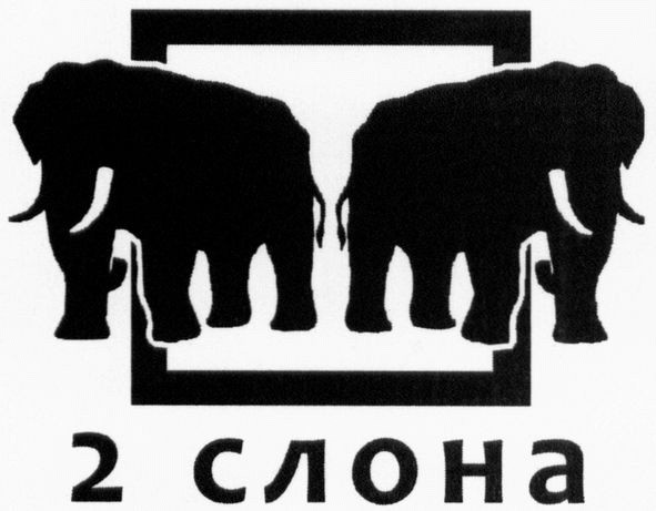 2 слона