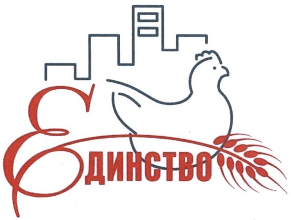 единство