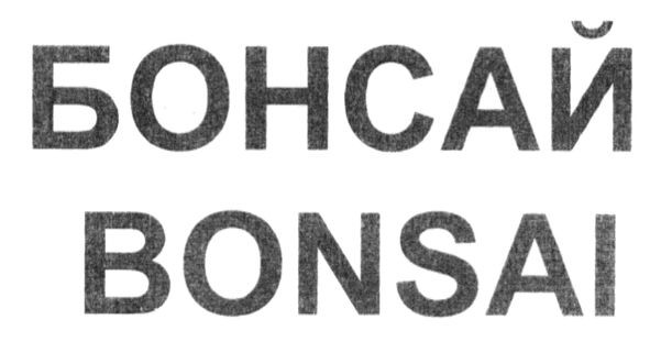 бонсай