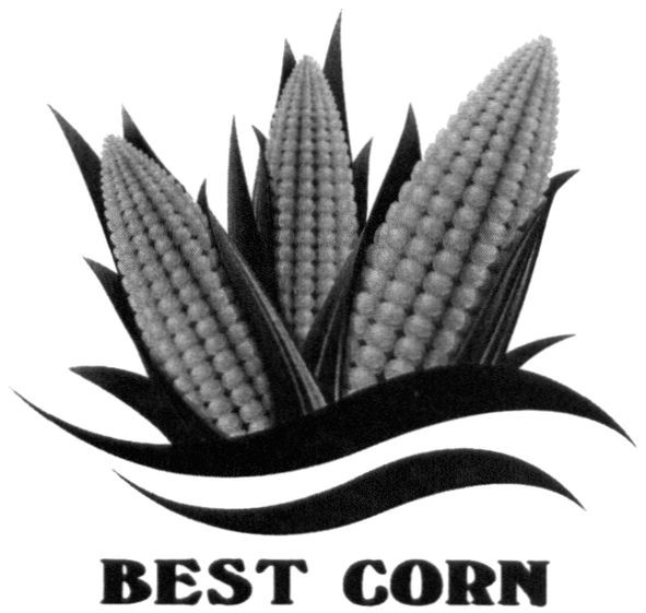 best corn