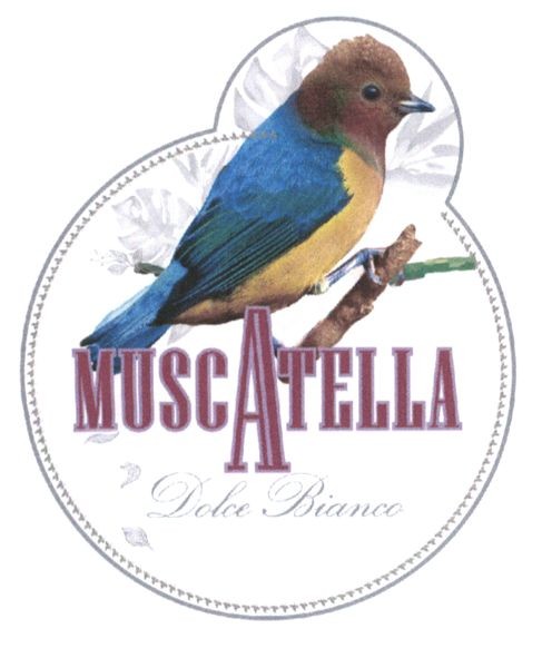 dolce bianco