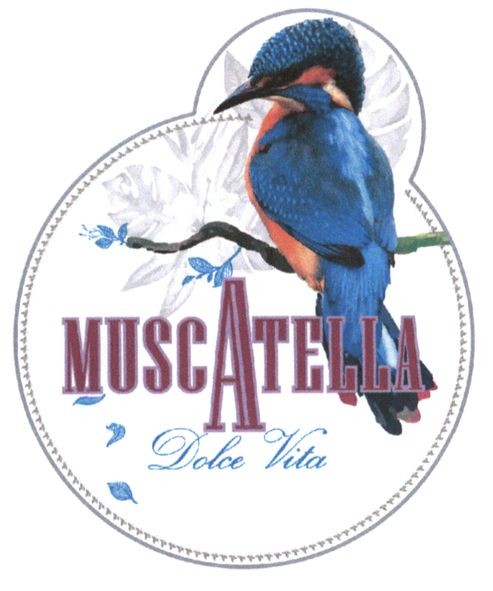 muscatella