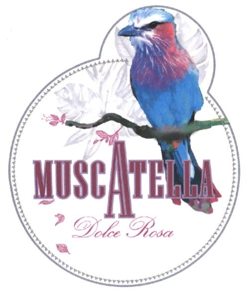 muscatella