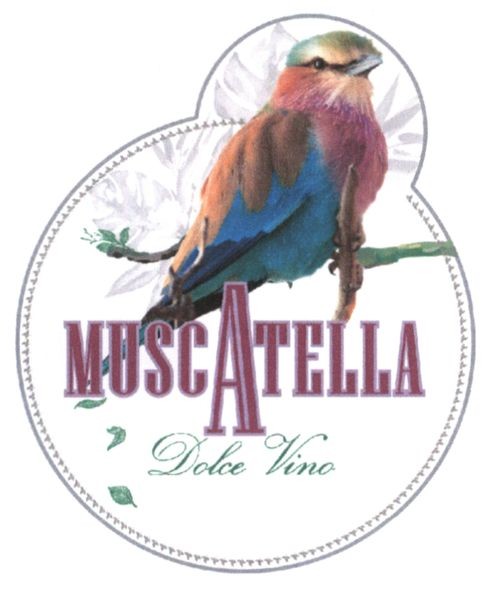 muscatella