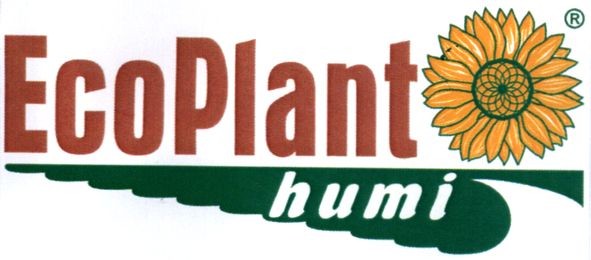 eco plant
