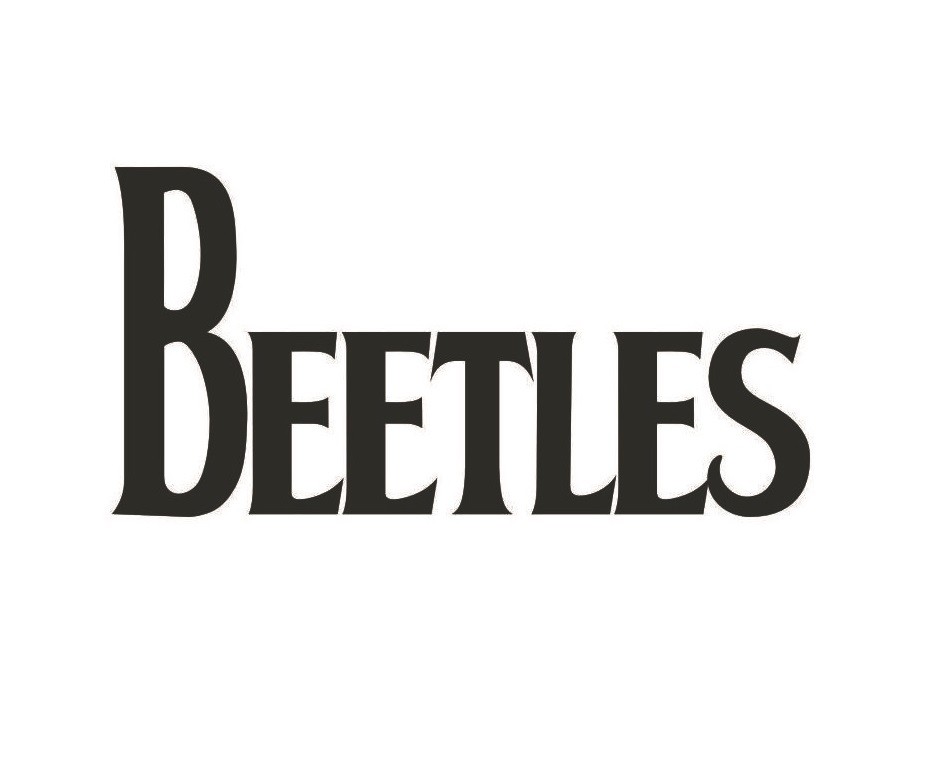 beetles