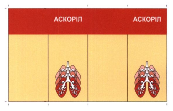 аскоріл