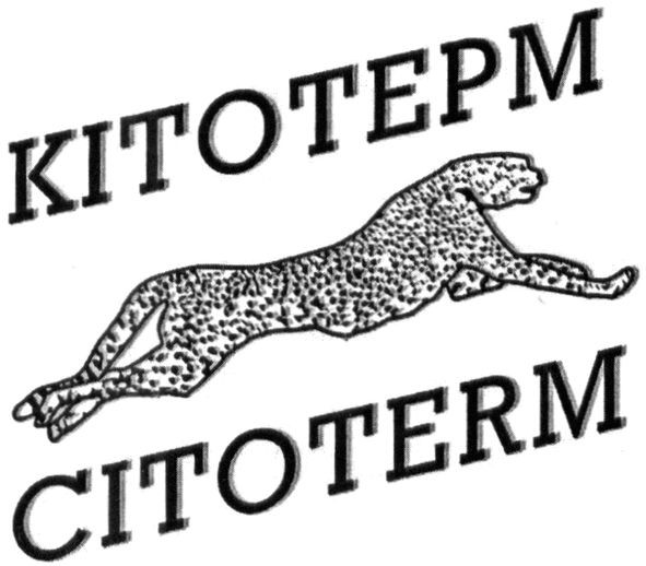 кітотерм