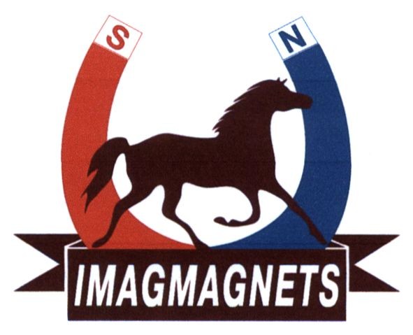 imagmagnets