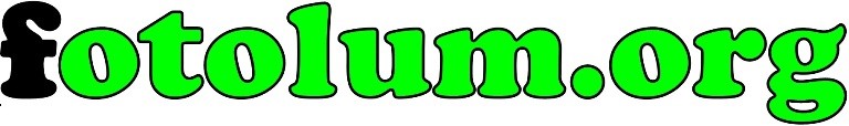 fotolum.org