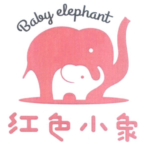 baby elephant