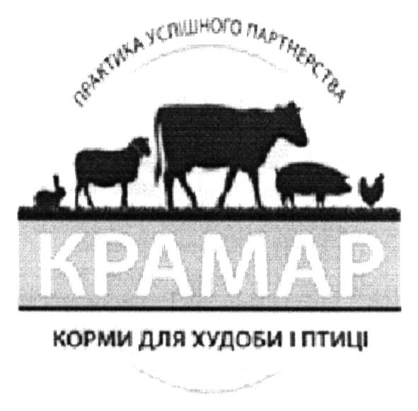 практика успішного партнерства
