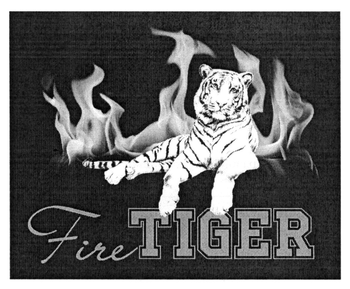 fire tiger