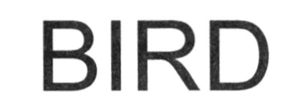 bird