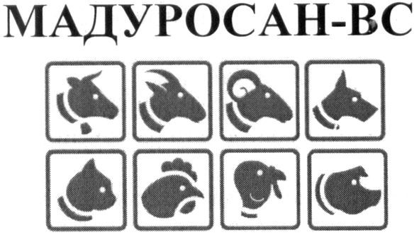 мадуросан-вс