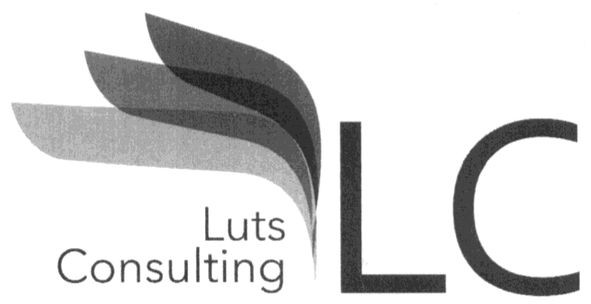luts consulting