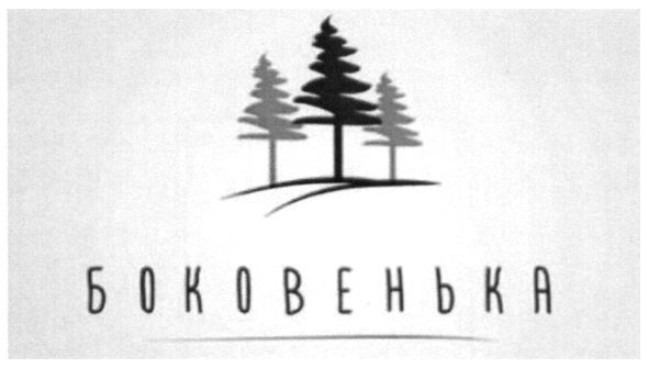 боковенька