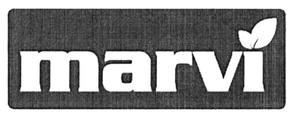 marvi