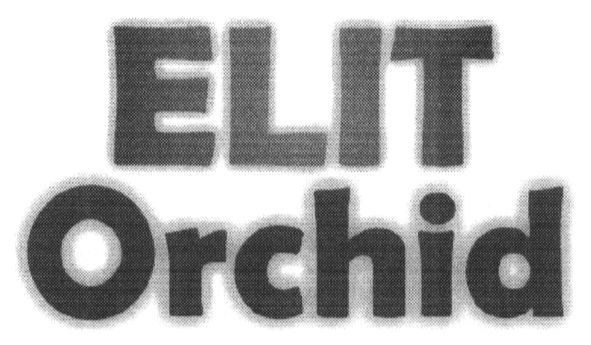 elit orchid