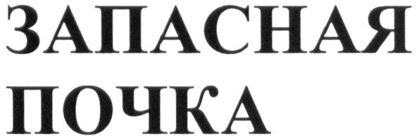 запасная почка