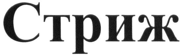 стриж