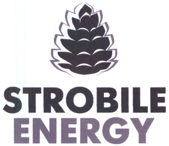 strobile energy