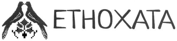 етнохата