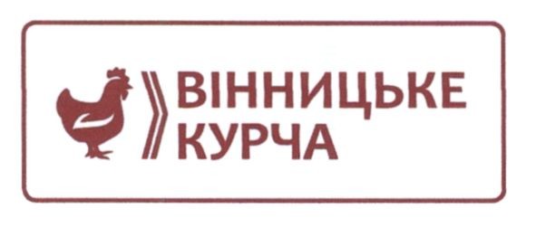 вінницьке курча