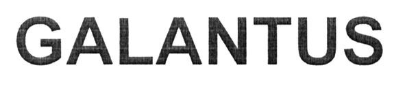 galantus