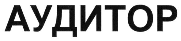 аудитор