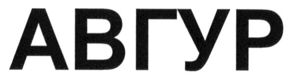 авгур
