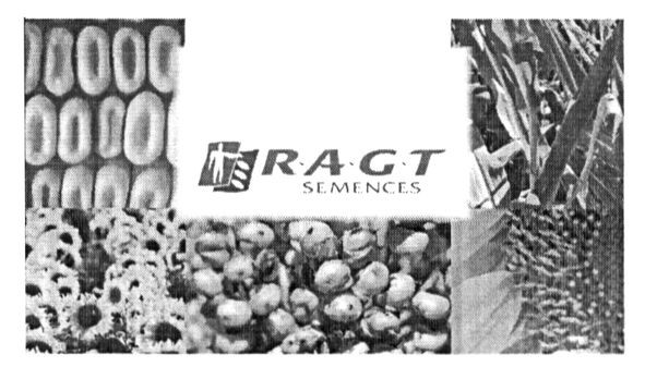ragt semences