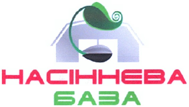 насіннева база