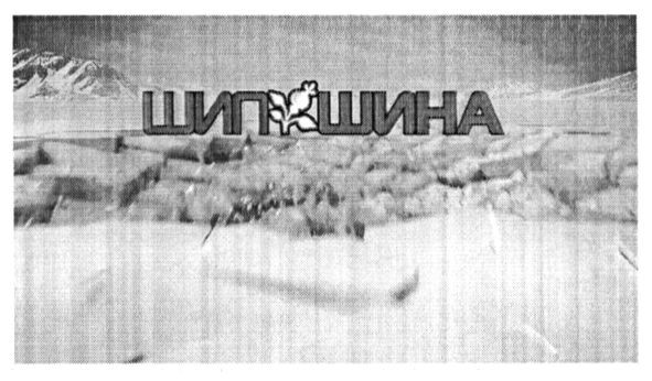 шип шина