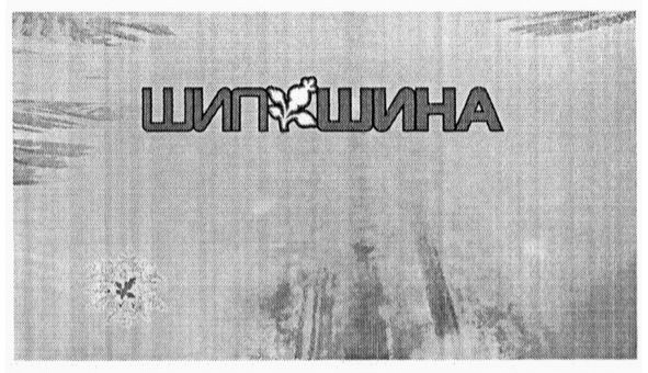 шип шина