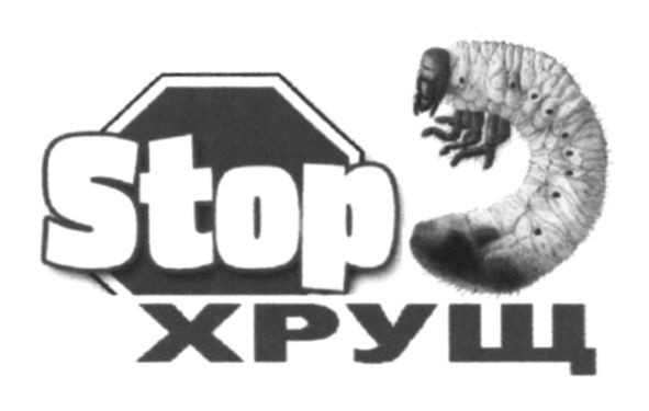 stop