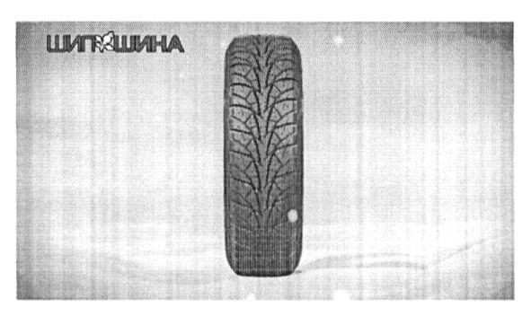 шип шина
