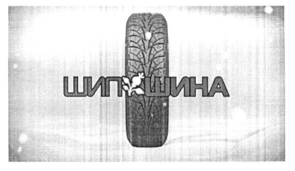 шип шина