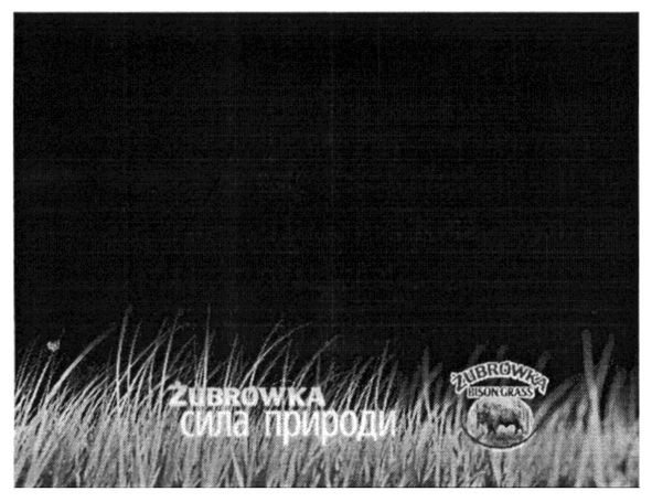 zubrowka bison grass