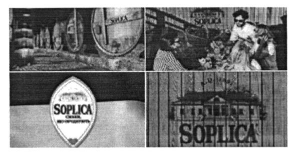 soplica